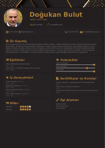 Gemi Kaptanı CV Örnekleri cv indir